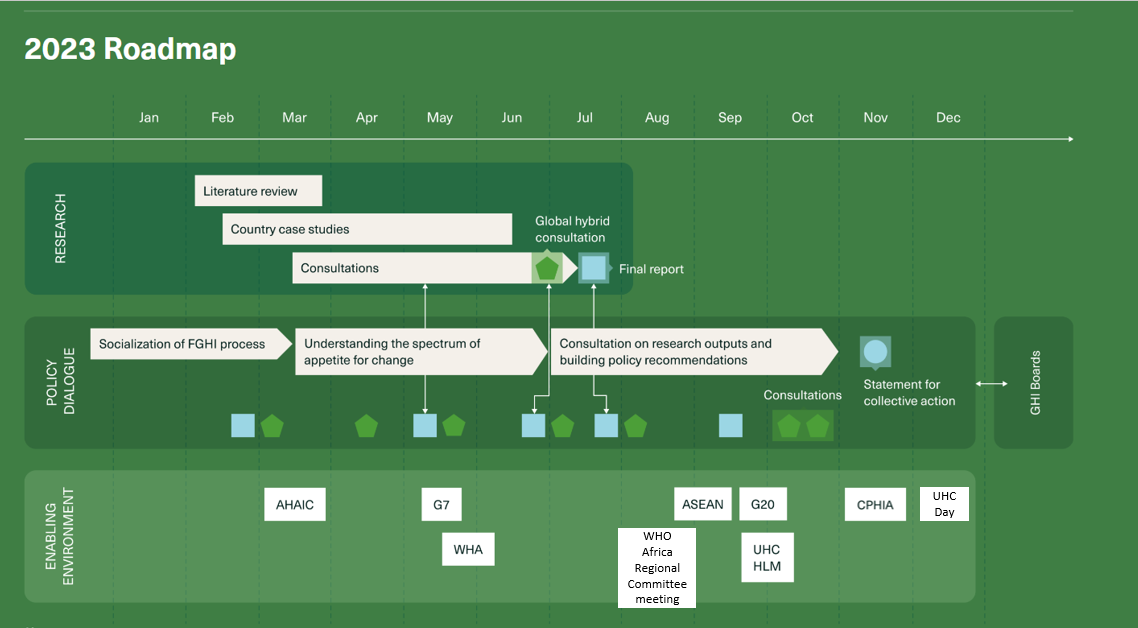 Roadmap of the phases of the FGHI process.